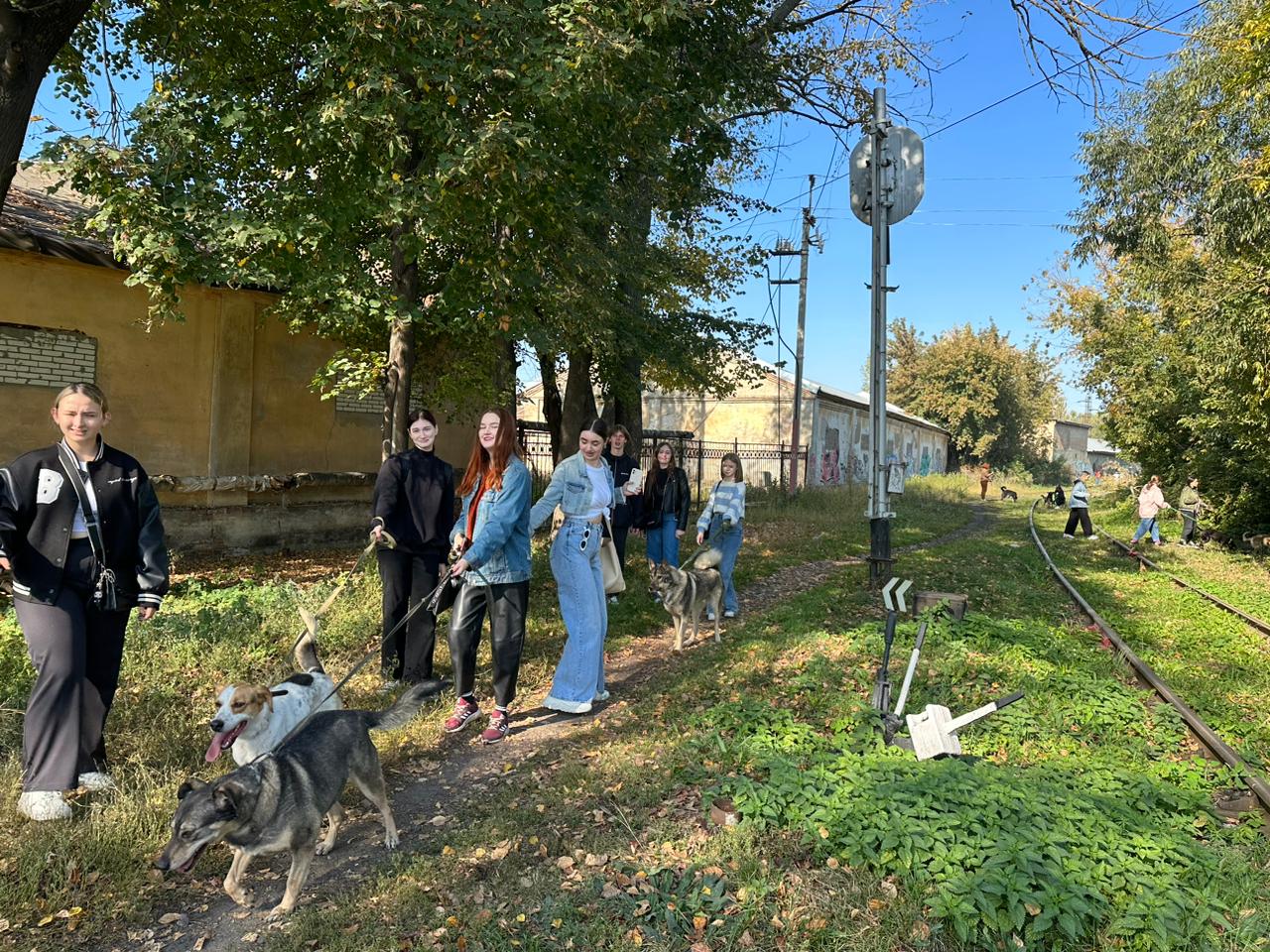 Студенты группы 22ИПД1 посетили приют Питомец